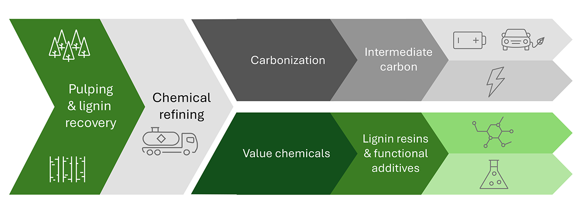 Visual presentation of BioBoost project value chain.